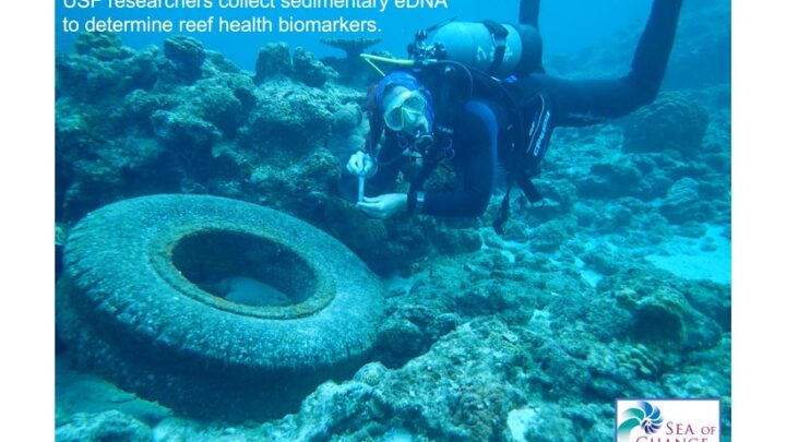 Sea of Change Foundation Supports Development of eDNA Reef Health Assessment Tools