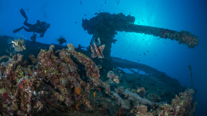 Tec Diving on All Star Red Sea