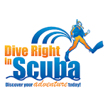 Premier Dive Service Facility Now Accepting New Dive Center Clients